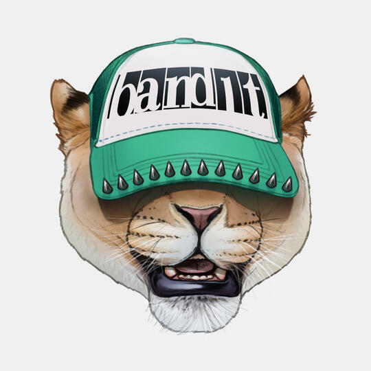 BAND1T Profile Picture