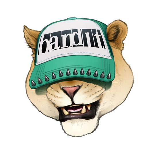 BAND1T Profile Picture
